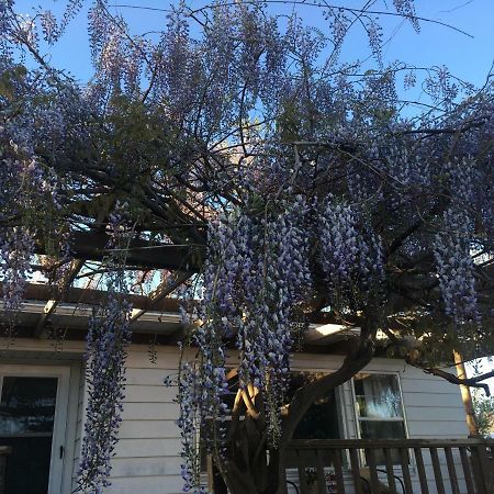 Wisteria Vine Cottage มอนติเชลโล ภายนอก รูปภาพ