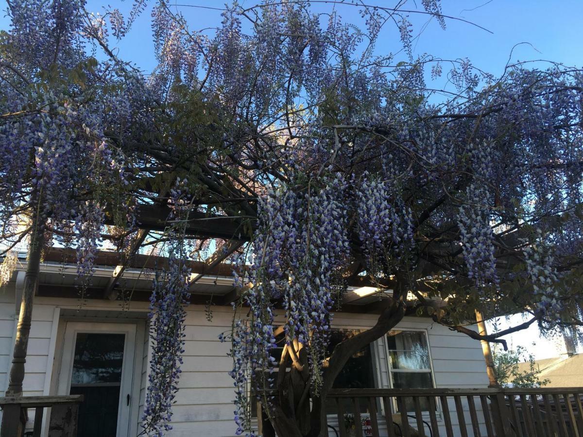 Wisteria Vine Cottage มอนติเชลโล ภายนอก รูปภาพ